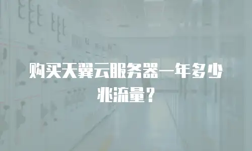 购买天翼云服务器一年多少兆流量？