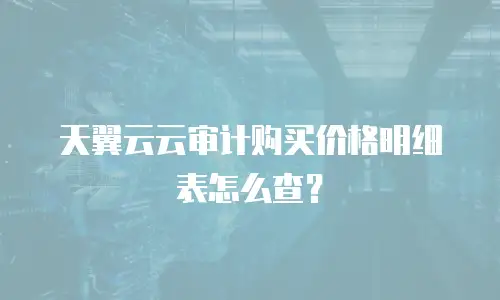 天翼云云审计购买价格明细表怎么查？