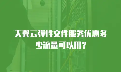 天翼云弹性文件服务优惠多少流量可以用？