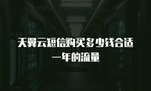 天翼云短信购买多少钱合适一年的流量