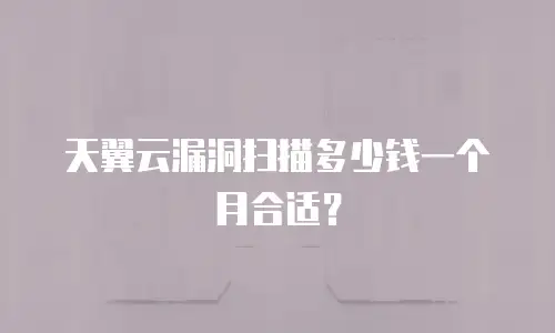天翼云漏洞扫描多少钱一个月合适？