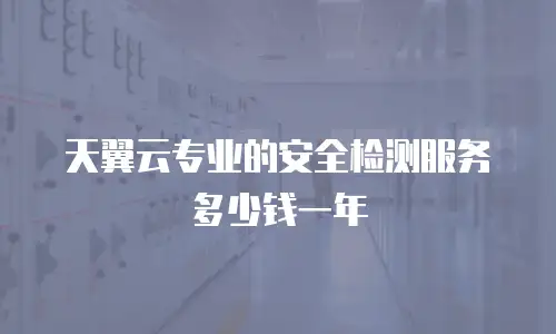 天翼云专业的安全检测服务多少钱一年