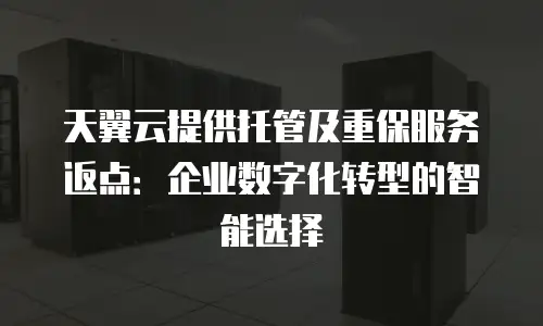天翼云提供托管及重保服务返点：企业数字化转型的智能选择