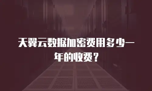 天翼云数据加密费用多少一年的收费？