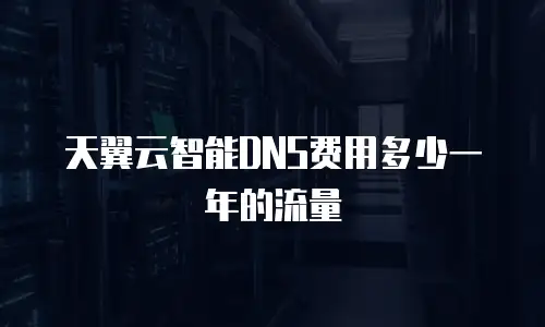 天翼云智能DNS费用多少一年的流量
