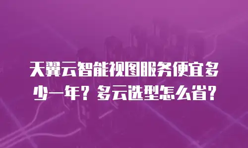 天翼云智能视图服务便宜多少一年？多云选型怎么省？