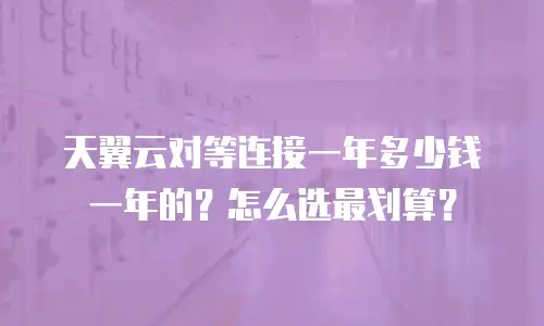 天翼云对等连接一年多少钱一年的？怎么选最划算？