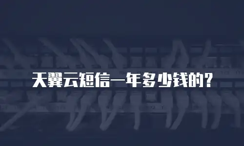 天翼云短信一年多少钱的？
