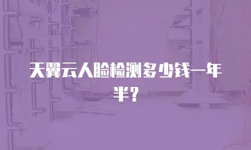 天翼云人脸检测多少钱一年半？