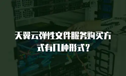 天翼云弹性文件服务购买方式有几种形式？