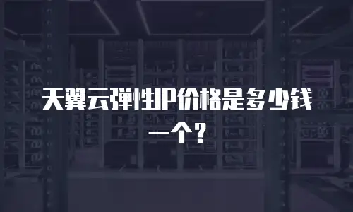 天翼云弹性IP价格是多少钱一个？