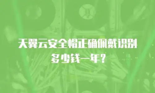 天翼云安全帽正确佩戴识别多少钱一年？