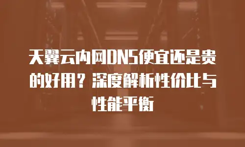 天翼云内网DNS便宜还是贵的好用？深度解析性价比与性能平衡
