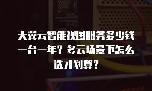 天翼云智能视图服务多少钱一台一年？多云场景下怎么选才划算？