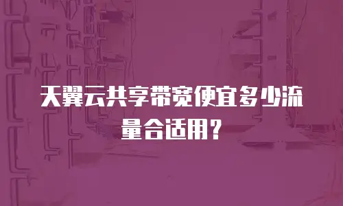 天翼云共享带宽便宜多少流量合适用？