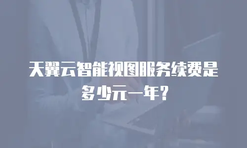 天翼云智能视图服务续费是多少元一年？