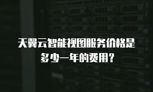 天翼云智能视图服务价格是多少一年的费用？