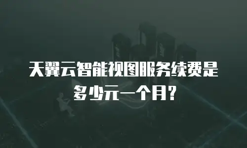 天翼云智能视图服务续费是多少元一个月？