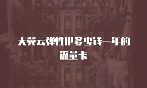 天翼云弹性IP多少钱一年的流量卡