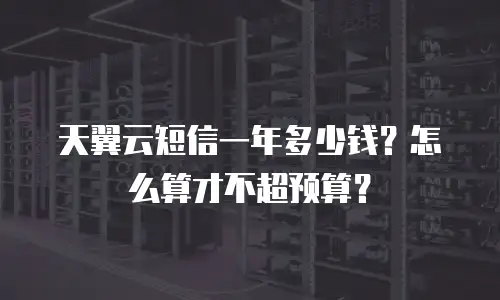 天翼云短信一年多少钱？怎么算才不超预算？