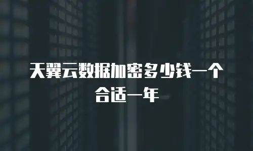 天翼云数据加密多少钱一个合适一年