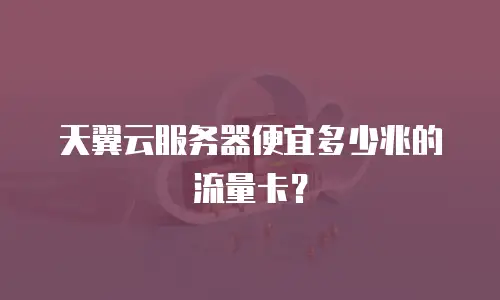 天翼云服务器便宜多少兆的流量卡？