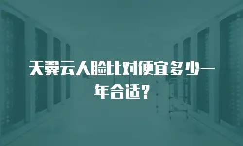 天翼云人脸比对便宜多少一年合适？