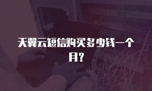 天翼云短信购买多少钱一个月？