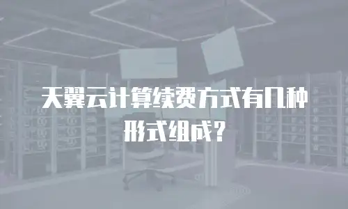 天翼云计算续费方式有几种形式组成？