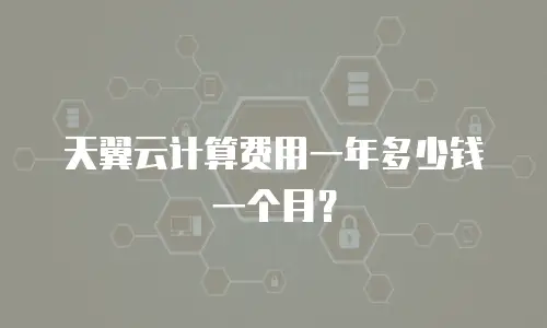 天翼云计算费用一年多少钱一个月？