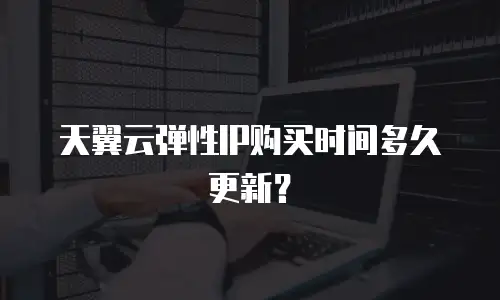 天翼云弹性IP购买时间多久更新？