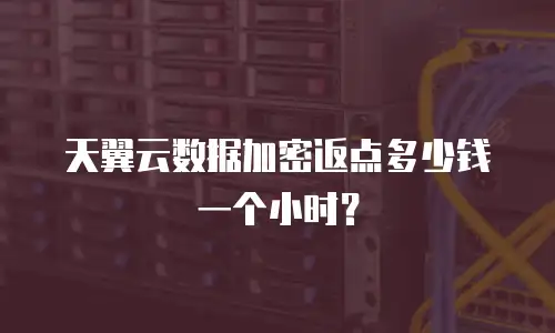 天翼云数据加密返点多少钱一个小时？