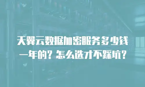 天翼云数据加密服务多少钱一年的？怎么选才不踩坑？