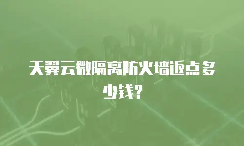天翼云微隔离防火墙返点多少钱？
