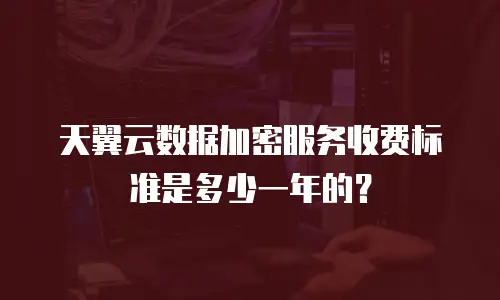 天翼云数据加密服务收费标准是多少一年的？