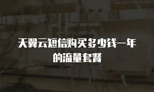 天翼云短信购买多少钱一年的流量套餐