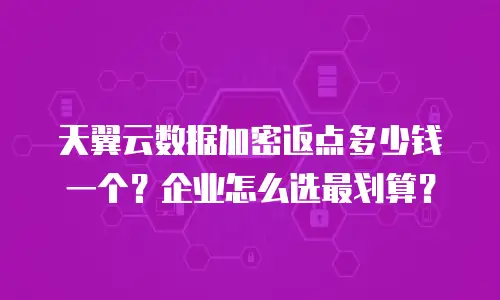 天翼云数据加密返点多少钱一个？企业怎么选最划算？
