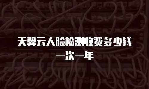 天翼云人脸检测收费多少钱一次一年