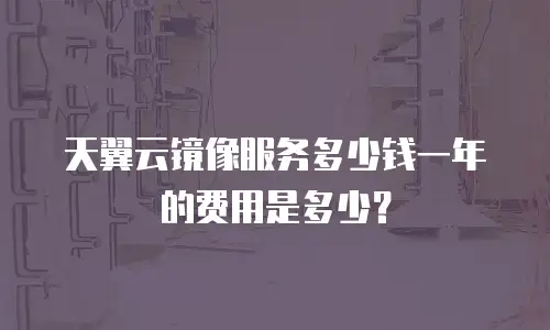 天翼云镜像服务多少钱一年的费用是多少？