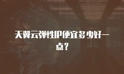 天翼云弹性IP便宜多少好一点？