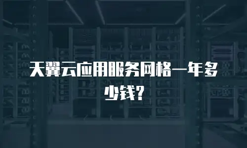 天翼云应用服务网格一年多少钱？