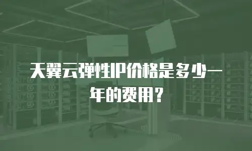 天翼云弹性IP价格是多少一年的费用？