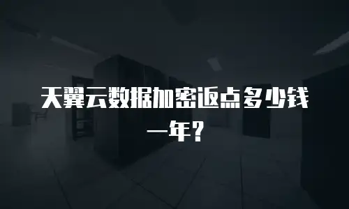 天翼云数据加密返点多少钱一年？