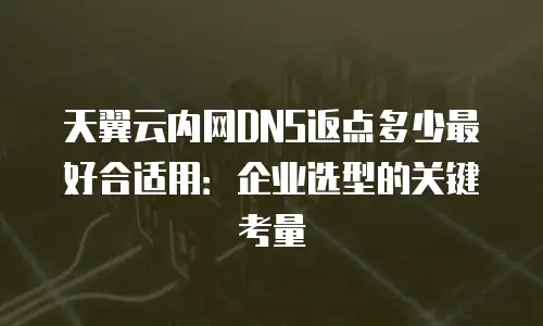 天翼云内网DNS返点多少最好合适用：企业选型的关键考量