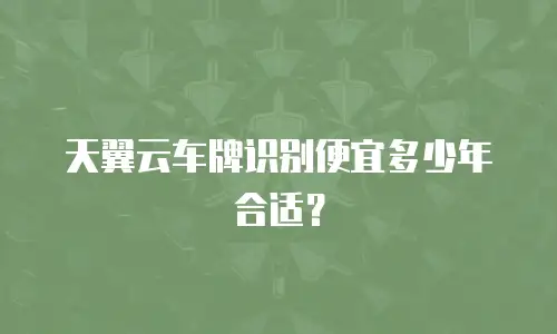 天翼云车牌识别便宜多少年合适？