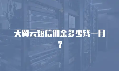 天翼云短信佣金多少钱一月？