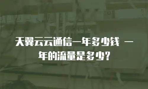 天翼云云通信一年多少钱 一年的流量是多少？