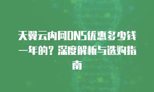 天翼云内网DNS优惠多少钱一年的？深度解析与选购指南