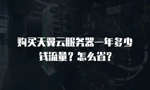 购买天翼云服务器一年多少钱流量？怎么省？