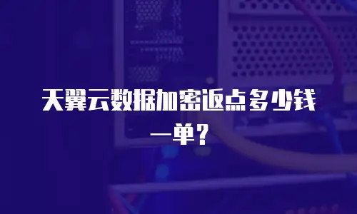 天翼云数据加密返点多少钱一单？